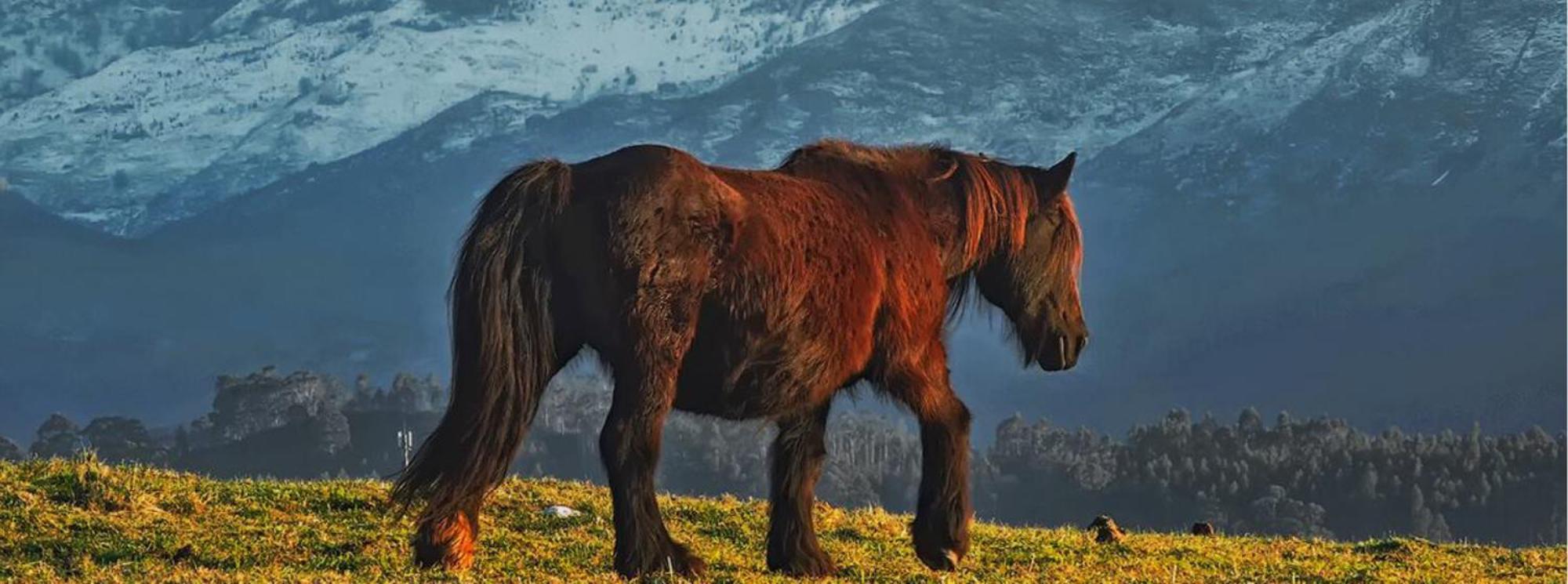 El Pedroso De Llanes Villa Villahormes Dış mekan fotoğraf
